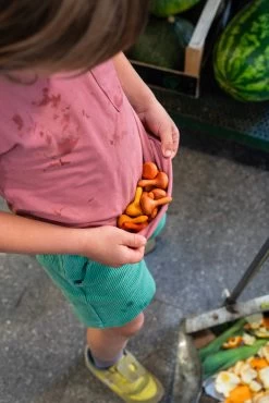 Grapat - Mandala Pumpkins 7 Grapat - Mandala Pumpkins -Playworld Shop Art 23 252 Mandala pumkins A7R05218 Joguines Grapat scaled 1