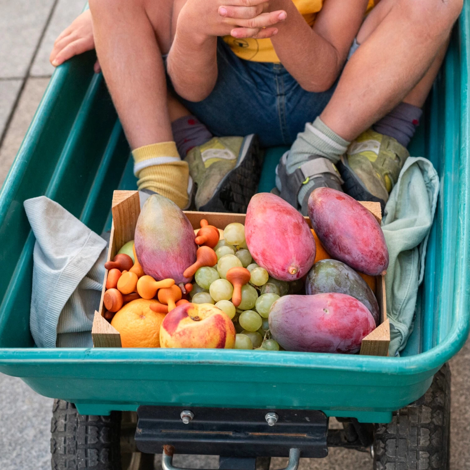 Grapat - Mandala Pumpkins 4 Grapat - Mandala Pumpkins - Image 2