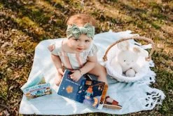 Ditty Bird - Classical Music Musical Board Book 11 Ditty Bird - Classical Music Musical Board Book -Playworld Shop DB06746