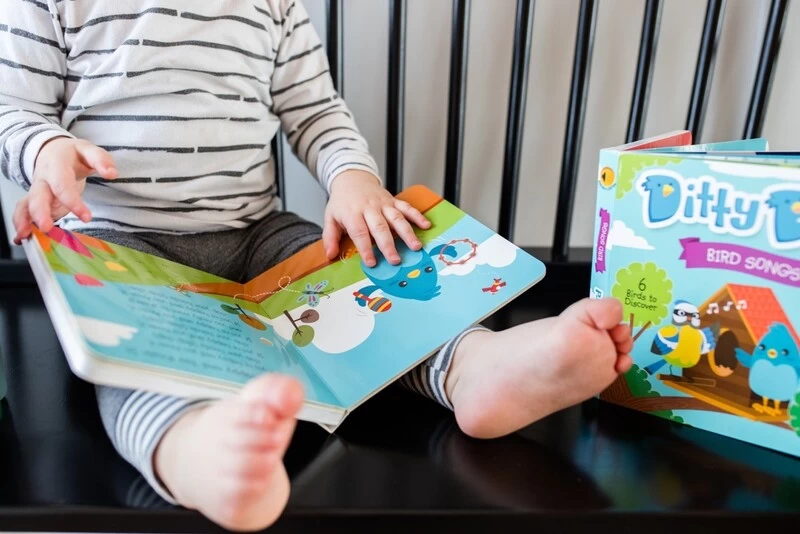 Ditty Bird - Bird Songs Musical Board Book 7 Ditty Bird - Bird Songs Musical Board Book - Image 5