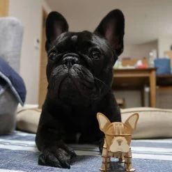 Kigumi - French Bulldog Plywood Puzzle