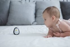 Plan Toys - Wooden Wobbling Righting Penguin -Playworld Shop PlanToysPenguin3