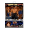 Jada Toys Street Fighter - FEI LONG 6” Action Figure -Playworld Shop StreetFighterFeiLongBox