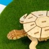 Kigumi - Sea Turtle Puzzle 1 Kigumi - Sea Turtle Puzzle -Playworld Shop seaturtle